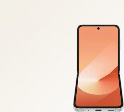 Galaxy Z Flip6 12/512Gb, Peach – фото 3