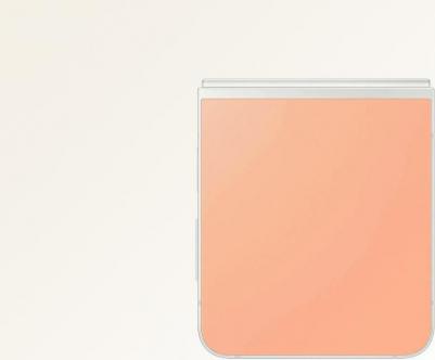 Galaxy Z Flip6 12/512Gb, Peach – фото 8