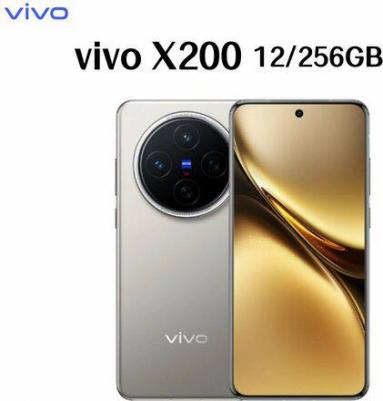 X200 12/256Gb, Titanium – фото 3