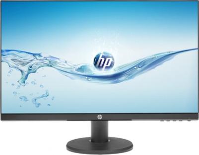 P24v – фото 10