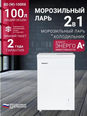 BD (W)-100RX – фото 3