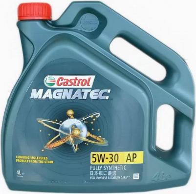 Magnatec Professional 5W-30 5 л – фото 5