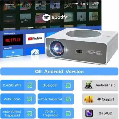 Q10W Max – фото 5