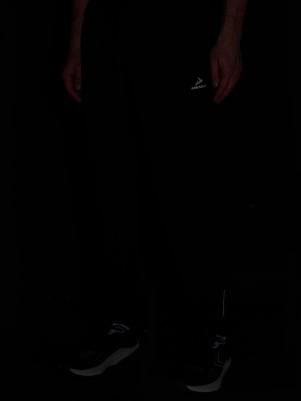 Брюки мужские, Черный 4670036527695 – фото 3