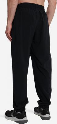 Брюки мужские, Черный 4670036527695 – фото 5