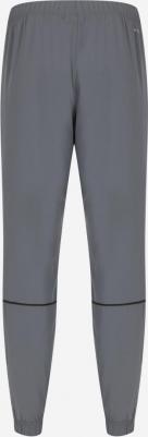 Брюки мужские, Серый 4680577377741 – фото 2