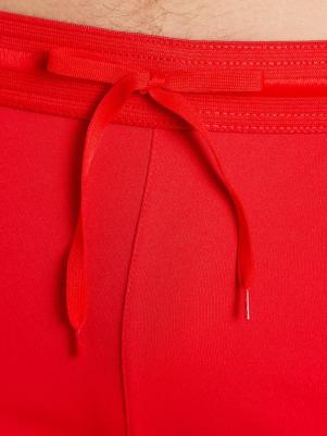 Шорты мужские Legacy, Красный – фото 3