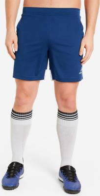 Шорты мужские Playmaker, Синий