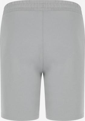 Шорты мужские, Серый 4680577450758 – фото 3