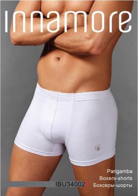 Трусы мужские IBU34002 Classic серые 52 – фото 2