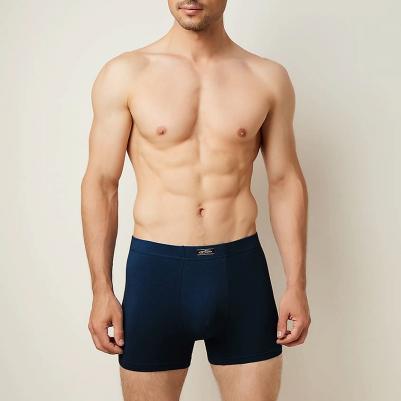 Боксеры мужские 1233 Blu Scuro, размер 48 – фото 2