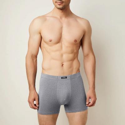 Боксеры мужские 1233 Grigio Melange, размер 48 – фото 1