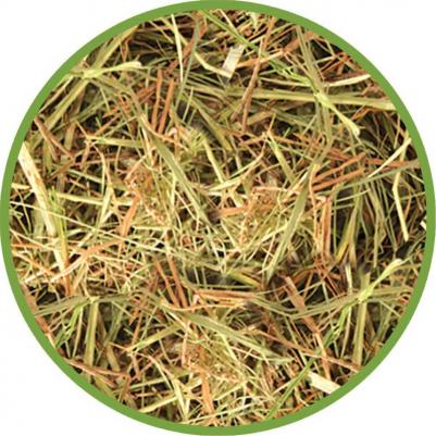 Сено для грызунов и кроликов, 15 л – фото 3
