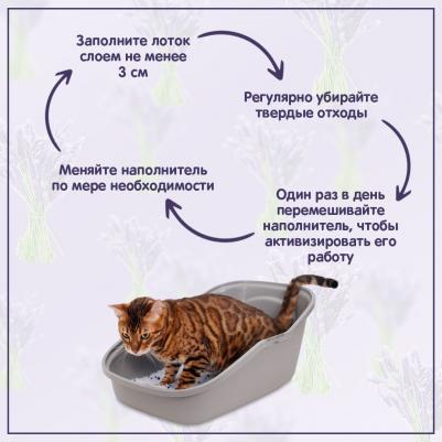 Наполнитель для кошачьего туалета Лаванда 3.8л (упаковка 2 шт.) – фото 4