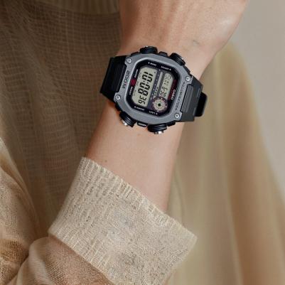 DW-291H-1A – фото 3