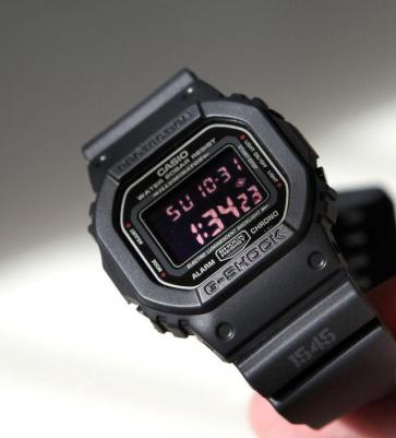 DW-5600MS-1 – фото 3