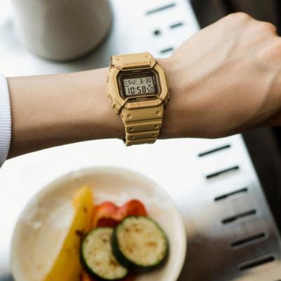 DW-5600PT-5 – фото 5