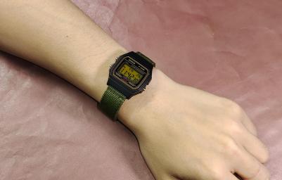 F-91WG-9 – фото 19