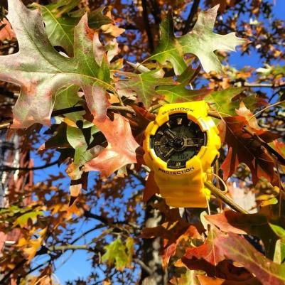 GA-110CM-9A – фото 3