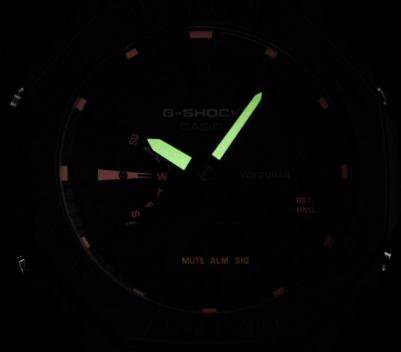 GA-2100-1A4 – фото 2