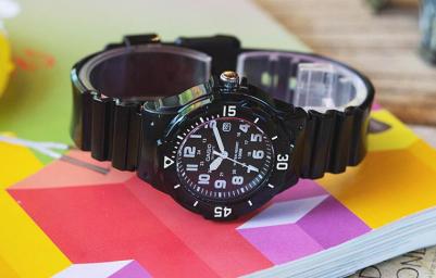 LRW-200H-1B – фото 8