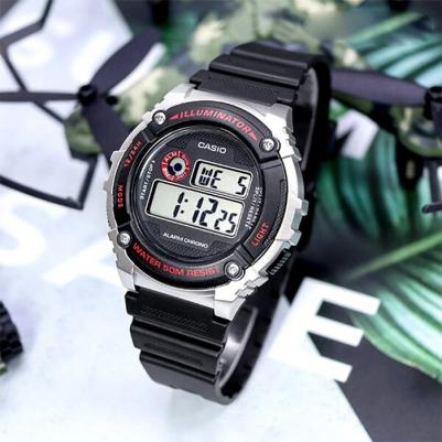 W-216H-1C – фото 2