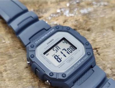 W-218HC-2A – фото 4