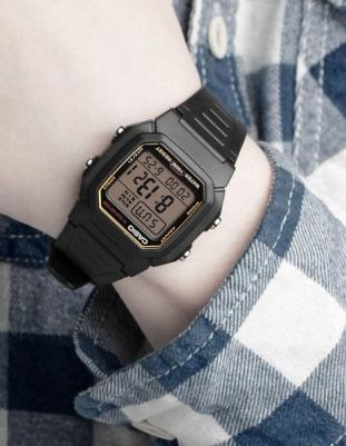 W-800HG-9A – фото 8