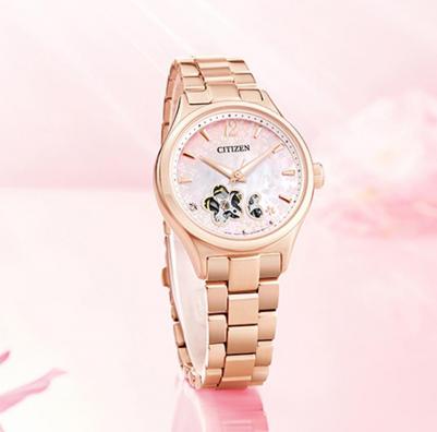 PC1017-61Y – фото 2