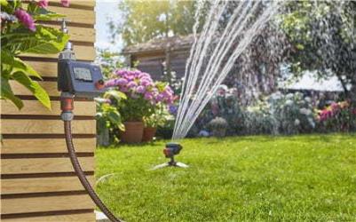 5900/4 inox – фото 2