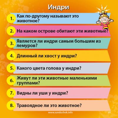 Сундучок знаний: В мире животных – фото 1