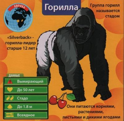 Сундучок знаний: В мире животных – фото 2