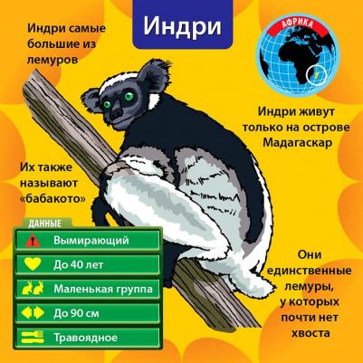 Сундучок знаний: В мире животных – фото 10