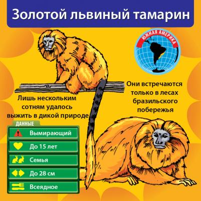 Сундучок знаний: В мире животных – фото 12