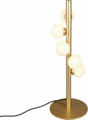 APL.622.04.05 – фото 5