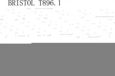 Bristol T896.1 – фото 2