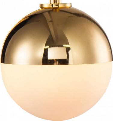 Tous T1694.1 – фото 1