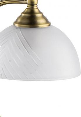 242037301 – фото 10