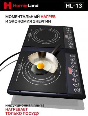 HL-13 – фото 2