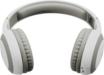 BT-15BG – фото 3
