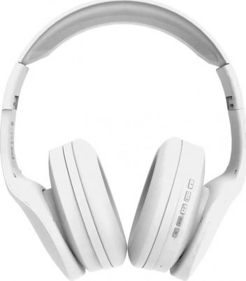 BT17W – фото 3