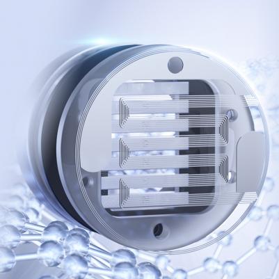 FP3, Black Walnut – фото 10