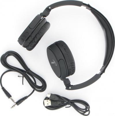 BHS-100 – фото 1