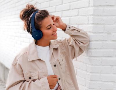 RB-HF420BGEK – фото 3