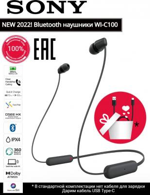WI-C100, Black – фото 2