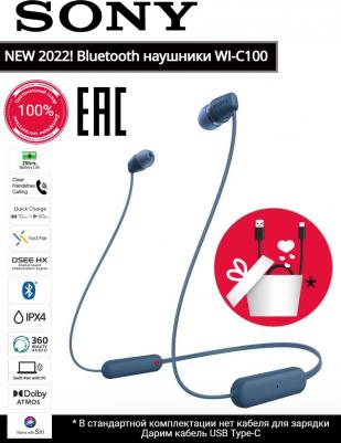 WI-C100, Blue – фото 9