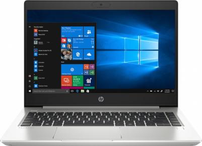ProBook 445 G7 (7RX17AV)