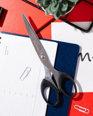 Ножницы 169 мм с пластиковыми симметричными эллиптическими ручками черного цвета – фото 4