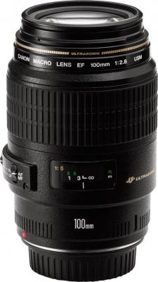 EF 100mm f/2.8 Macro USM – фото 11