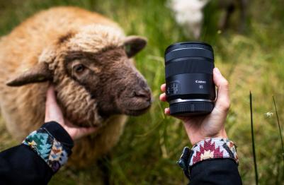 RF 85mm f/2 Macro IS STM – фото 11